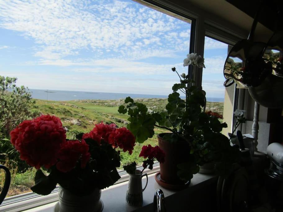 Furthest Point West Apartment Galway Exterior photo